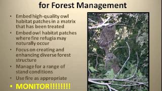 Implementing the Mexican Spotted Owl Revised Recovery Plan