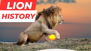 The History of Lions: From Ancient Symbolism to Modern Conservation Efforts