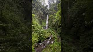 Hidden Waterfall Tour in Bali! 🇮🇩