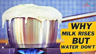 Why does Boiling milk rises, while boiling water don't? | Amazing #facts #YTshorts #shorts #science