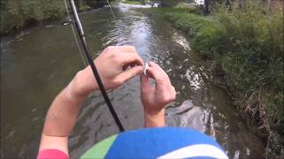 Luxembourg Fishing: Alzette LUXurious river