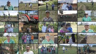 Pietrasanta Coconut Farm - An Economic Foundation In the Making