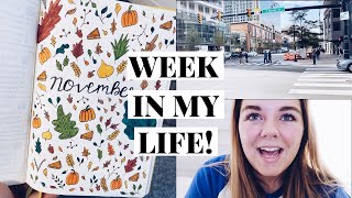 Vlogmas Day 5 | Real Work Week in My Life