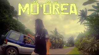 Adventures on the island of Mo'orea