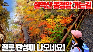 세상에서 가장 아름다운 순례길! 설악산 봉정암 가는길에 단풍이 절정입니다^^ (241016일 방문)설악산단풍/10월 여행지 추천/가을 산행/강원도여행/국내여행/korea