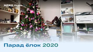 Парад ёлок 2020