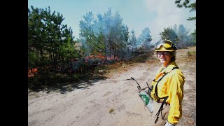 Fire Management Techniques for Ecological Balance