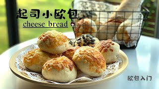 【ENG】奶酪包 cheese bread 欧包入门 新鲜出炉的欧包配上黄油 好吃停不下来