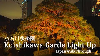 秋の夜長の小石川後楽園 | Koishikawa Garde Light Up 2024! [4K]