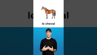 5 Animals in French #speak_french #learn_french #shorts