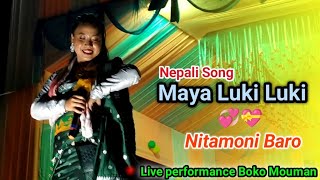 Maya Luki Luki || Nepali song || Nitamoni Baro Live performance At Boko Mouman @ntmusicvideo