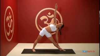 Triangle Pose Hand On Shin. Utthita Trikonasana.