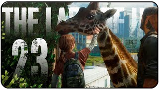 THE LAST OF US | Let's Play | Capítulo 23