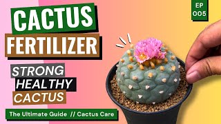 Grow Better with Fertilizer: Tips, Tricks, and Must Know! / Cactus Care Ep. 05