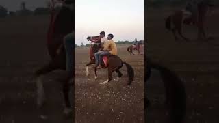 Ha Ghodo || tu ki jane pyar me ra || Horse status || Geeta rabari