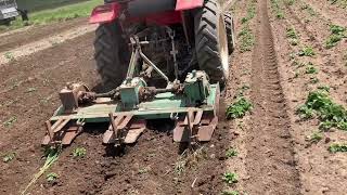 YTO tractor is working in Armenian Lands