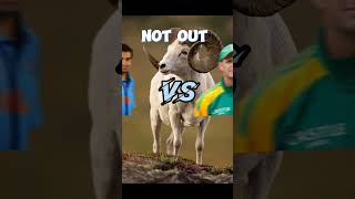 Gautam Gambhir VS G Kirsten in ODI #gautamgambhir #gkirstein