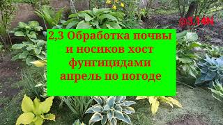 ☘️Агродневник часть 1.#агродневник#хосты#PetrNovar#Запорожье#@3.14N