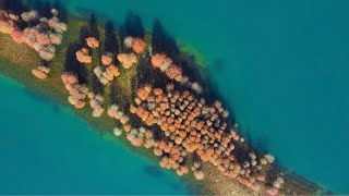 A bird's eye view of Guangdong: Vibrantly hued swamp cypress trees