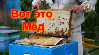 Откачать 130 кг товарного Мёда Оставить 34 кг Мёда на весну Собрать в зиму с Мёдом пчелиную семью