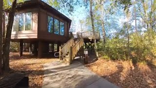 Did you know there’s tree houses at Disney? ￼