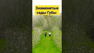 Цветущие сады Губы, famous Guba gardens