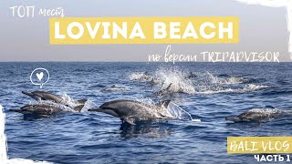 Обзор района Ловина // Дельфины на Бали  // Lovina Beach // Dolphin Tour Bali