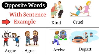 Opposite Words with Examples | Opposite Word in English