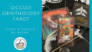 Tarot Deck Flip Through and Review: Occult Ornithology Tarot Deck