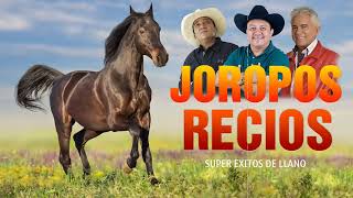 🐂Joropos Recios Del llano🐂 Jorge Guerrero, Vitico Castillo, Lorgio Rodriguez, Reynaldo Armas y mas