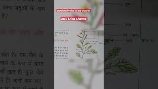 Name of different parts of plants| Class 6 ncert | Science chapter 1