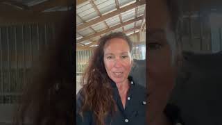 FREE Holistic Horsemanship Mastery Webinar