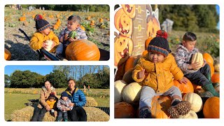 Farsi Bari | PUMPKIN patch GhumGham