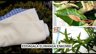 Eddagala Eliwanga Enkumbi Elirino Nyweza Okwagalana Kwamwe kati