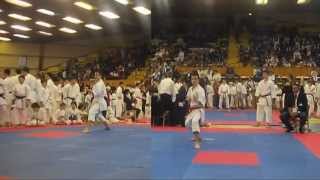 3rd SKDUN European Shotokan Championship Eger 2013