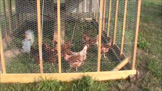 The Chicken Tractor.wmv