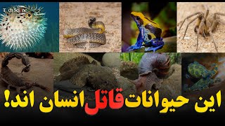 ۸ تا از حیواناتی که کشنده ترین زهر را دارند !