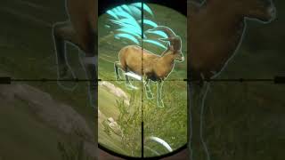 Diamond Ronda Ibex #thehuntercallofthewild