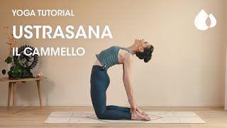 YOGA tutorial | USTRASANA - La posizione del cammello