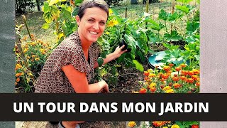 Un tour dans mon jardin potager! Cueillette, recette de PESTO maison avec du basilic frais!