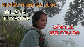 " Huyền Thoại Sá Lủng " A Lành tuyển rể cho em Dính sính lễ 100 con bò | CHAO VLOG Team