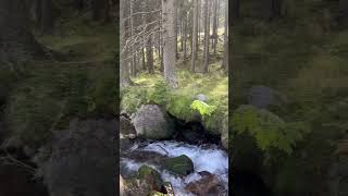 Alpine stream #austria #travel #nature #alps #mountain #snow #austrianalps #hiking