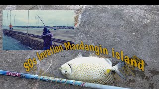 Mancing Baronang  Umpan Lumut | Monster Pulau Mandangin