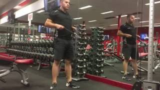 MYBP squat rows