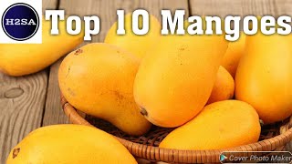 Top 10 World Famous Mango Varieties / Types