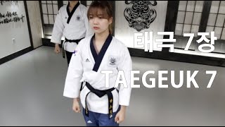 Poomsae Taegeuk 7 jang  품새 태극 7 장