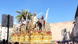 [4K] BORRIQUILLA ARCO DE ELVIRA | AM ESTRELLA | GRANADA 2023