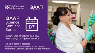 Dietary fibre structures and how they change during fermentation