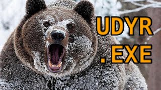 Udyr.exe