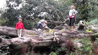 Cycling in Savernake Forest 2011-08-30